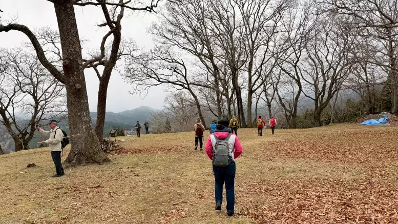 宇陀松山城址 イメージ
