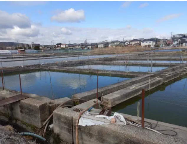 郡山名物! イメージ