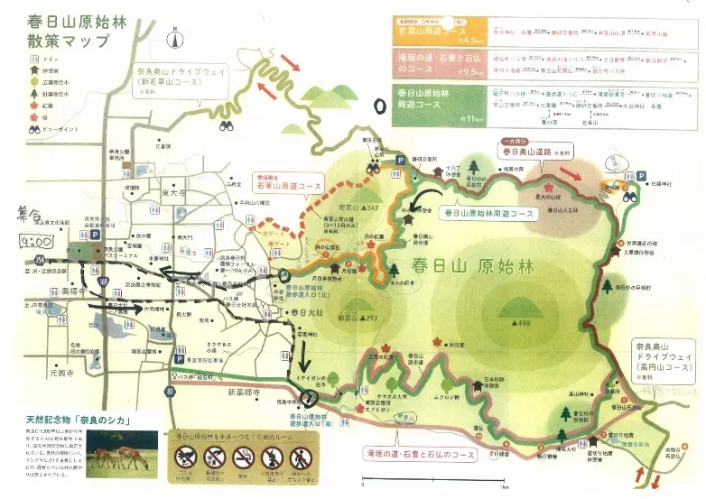 今回のコース イメージ