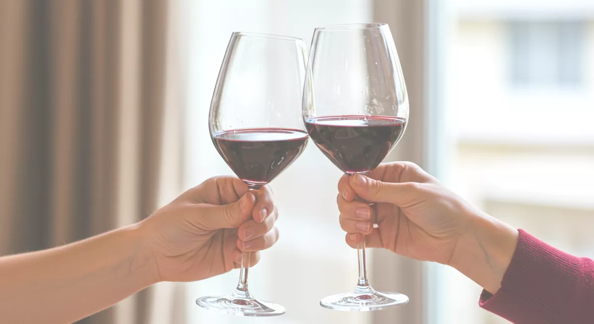 シニア サークル 大阪 | 2025年度　第19回　ワインパーティー