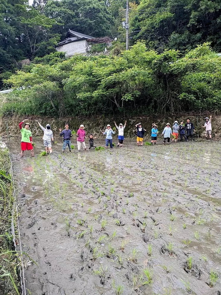 田植え完成 イメージ